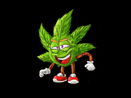 Need It Give Me GIF by itsWeedy