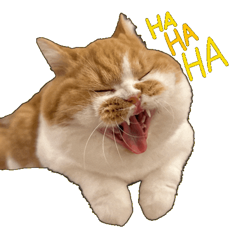 Cat Kitty Sticker