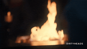 Camping Dirty Heads GIF by Better Noise Music