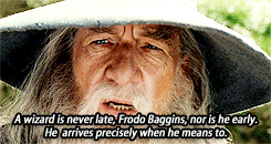 fellowship of the ring