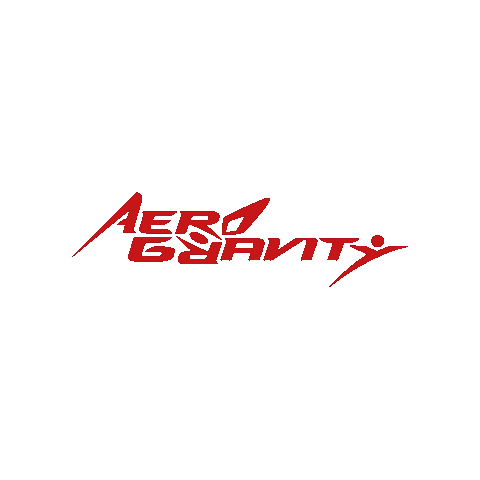 Fly Flight Sticker by Aero Gravity