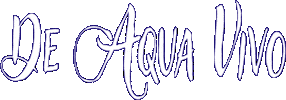 Sea Ocean Sticker by De Aqua Vivo