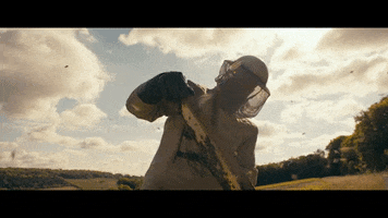 Jason Statham Bee GIF by VVS FILMS