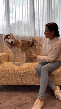 Dog Lol Gif By Shameless Maya Find Share On Giphy