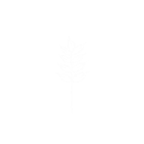YWAM Herrnhut Sticker