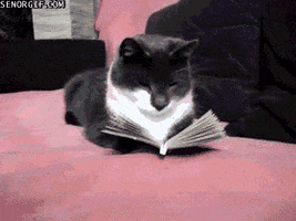 Books Book Lovers Day GIF