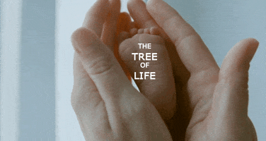 the tree of life cinematographers dream GIF by Maudit