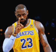 Be Quiet Lebron James GIF by the innernette