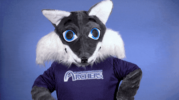 Education Mascot GIF by St. Louis Community College