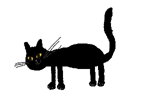 Black Cat Sticker