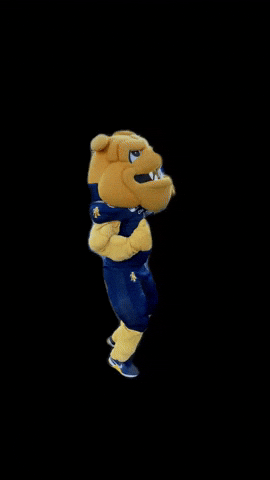 Aggies GIF by N.C. A&T