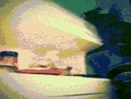 Flowers Tank GIF