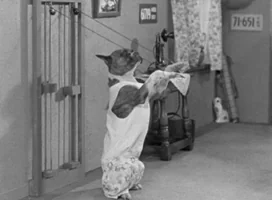 warner archive gym GIF