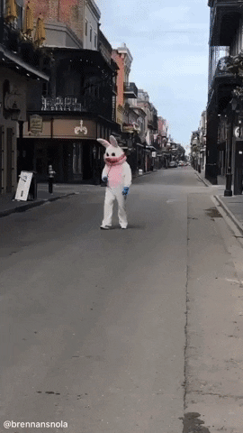 Easter GIF by Storyful