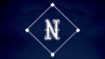 Baseball Softball GIF by Nevada Wolf Pack