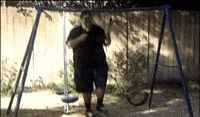 200w.gif