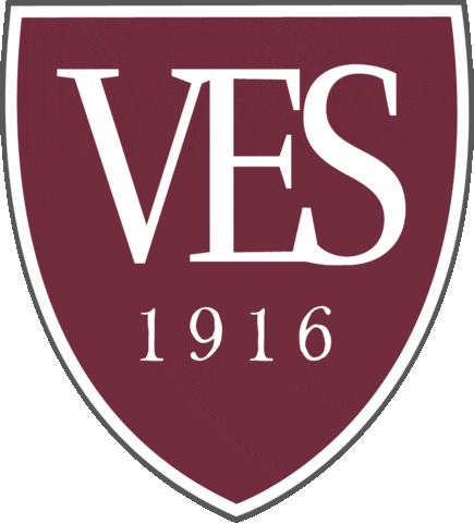 Ves Sticker by ves_bishops