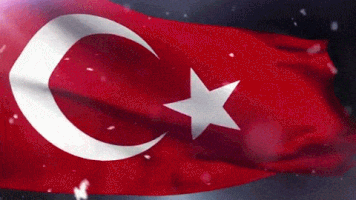 Bandera de Turquía GIF