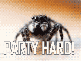 spiders