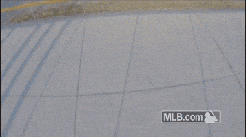 Tampa Bay Rays Baseball GIF by MLB