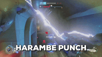 Mortal meme overwatch winston harambe GIF