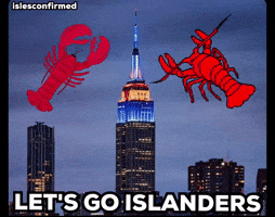 Ny Islanders GIF