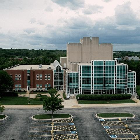Art Center College GIF by MoraineValleyCC