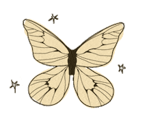 Stars Butterfly Sticker