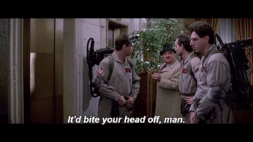 Calixtinus man head bite off GIF