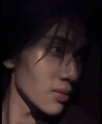 Cat Wow GIF