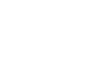 Sticker by CASA FLORISTA