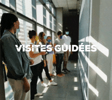 GIF by Le Cube