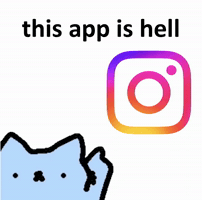 Spainnubcat GIF
