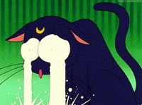Lunia Gifs Get The Best Gif On Giphy