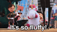 Its So Fluffy GIFs - Find & Share on GIPHY