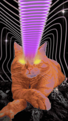 the_real_theory cat trippy third eye orange cat GIF