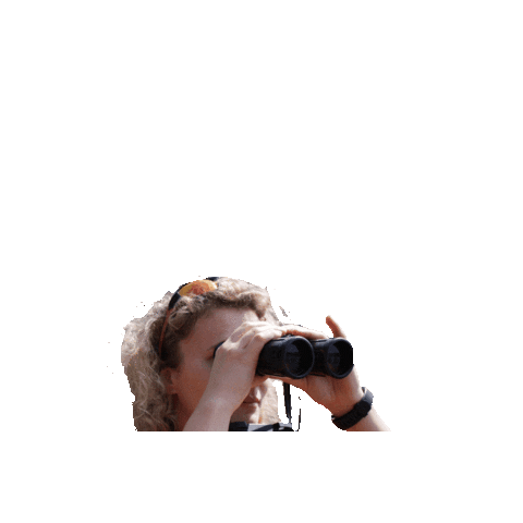 DLRG Ehringshausen e. V. Sticker