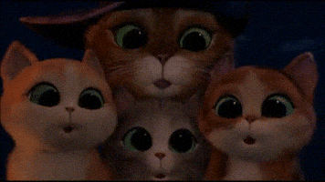 puss in boots cats GIF