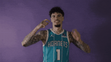 Lamelo Ball Basketball GIF by Charlotte Hornets