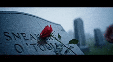 Sneajer GIF