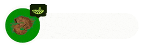 Axion Sticker by AgroActiva