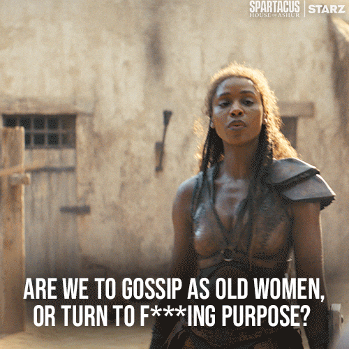 Tv Show Television GIF by Spartacus