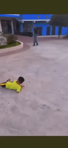 giphy.gif