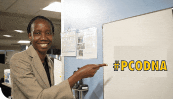 GIF by Drexel University, Elkins Park Campus