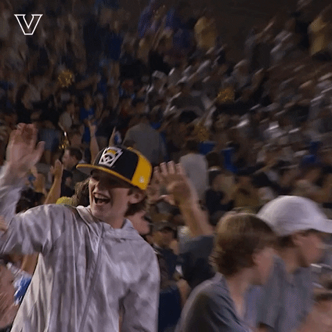 Happy College Football GIF by Vanderbilt Athletics