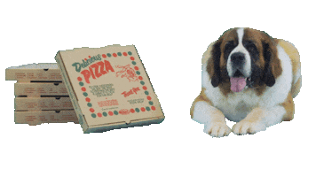 Dog Sticker