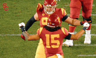 Celebrate Southern Cal GIF by USC Trojans