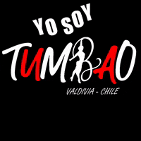 Yo Soy Salsa GIF by TumbaoValdivia