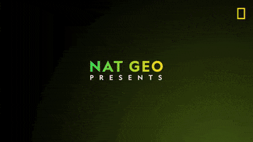 Neon GIF