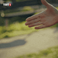 Hands Handshake GIF by TRT